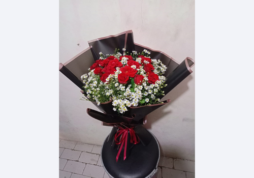 IMG-PRODUCT